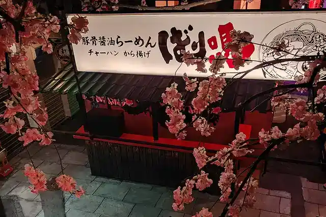 Échoppe japonaise sous les cerisiers, Enigma City